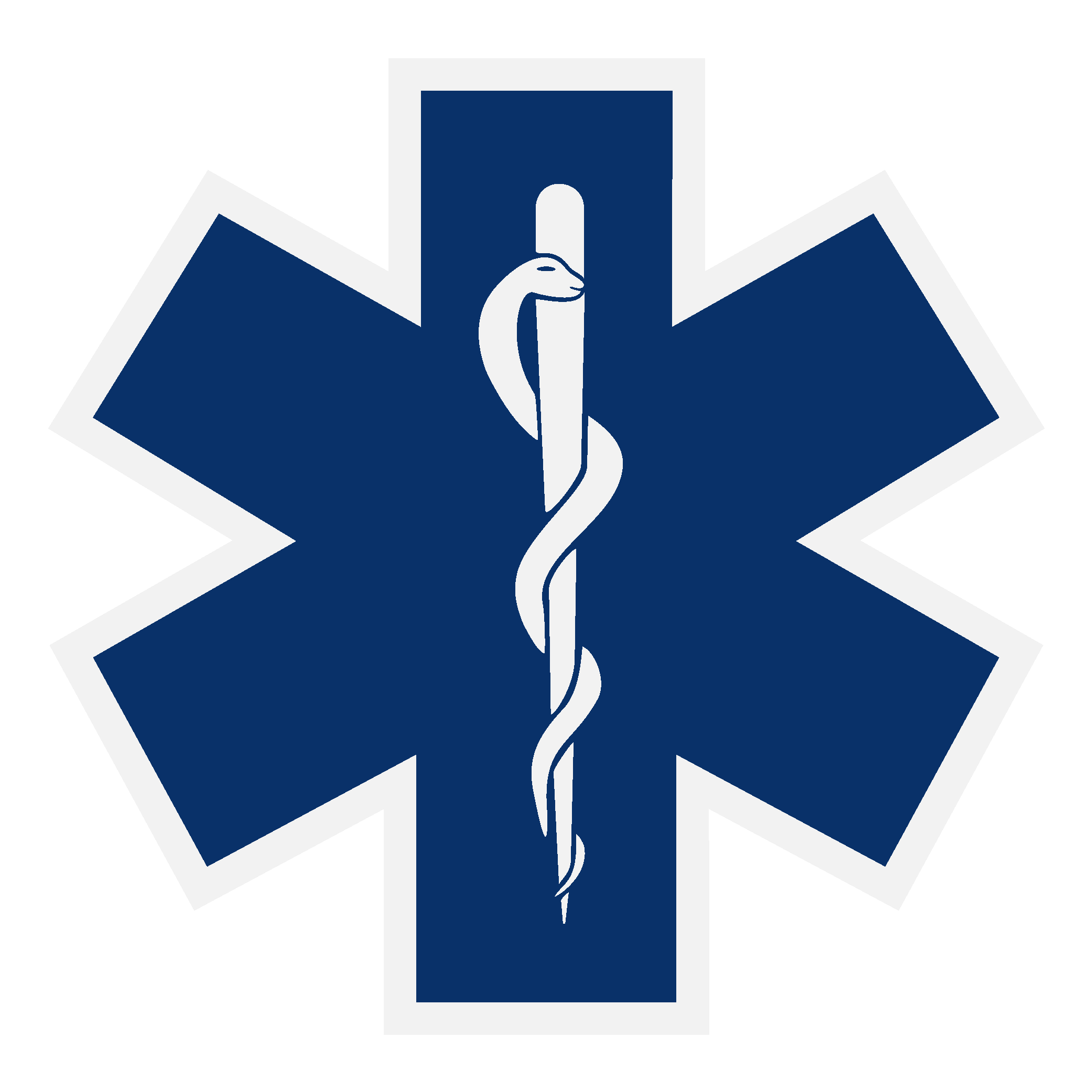 Star of Life Logo